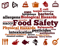 Food Safety at  Kids College Childcare