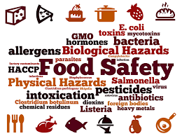 Food Safety at Kids College Childcare